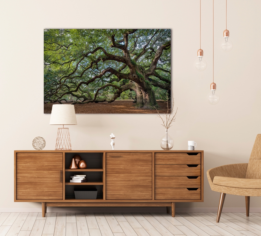 Jeu Rainbow Mosaics 3 - Le Gardien De La Forêt - Nonogrammes/logique Pour PC Windows - Garantie à Vie